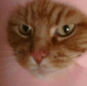 Meet your Posher, Erika